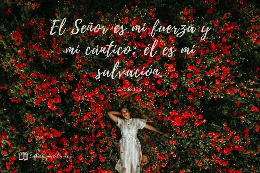 versiculos para madres, versiculos para dia de las madres, versiculos dia de las madres, versiculos biblicos para madres, versiculos biblicos para dia de las madres, dia de las madres versiculos, versiculos biblicos madres, versiculos para mamá, mamá versiculos, versiculos biblícos mamá