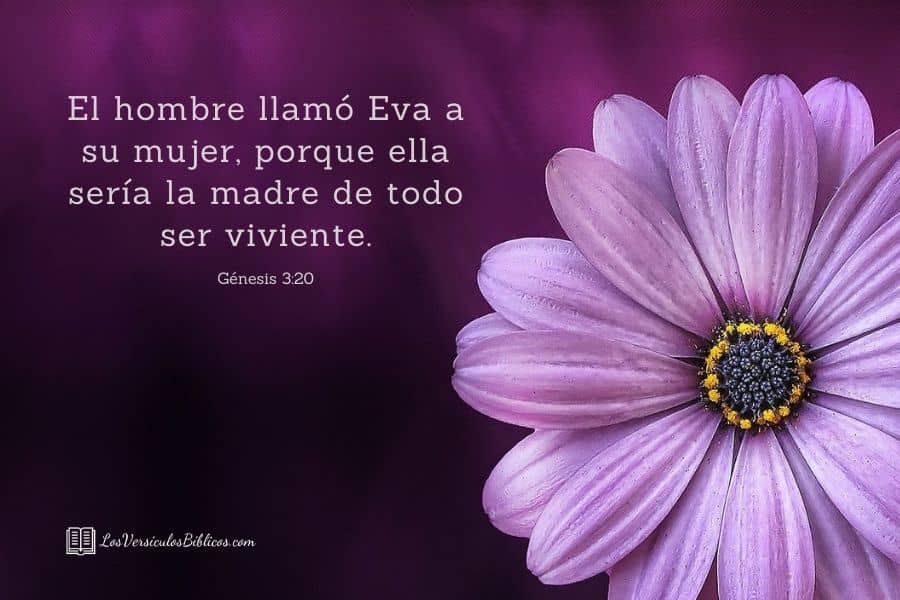 versiculos para madres, versiculos para dia de las madres, versiculos dia de las madres, versiculos biblicos para madres, versiculos biblicos para dia de las madres, dia de las madres versiculos, versiculos biblicos madres, versiculos para mamá, mamá versiculos, versiculos biblícos mamá