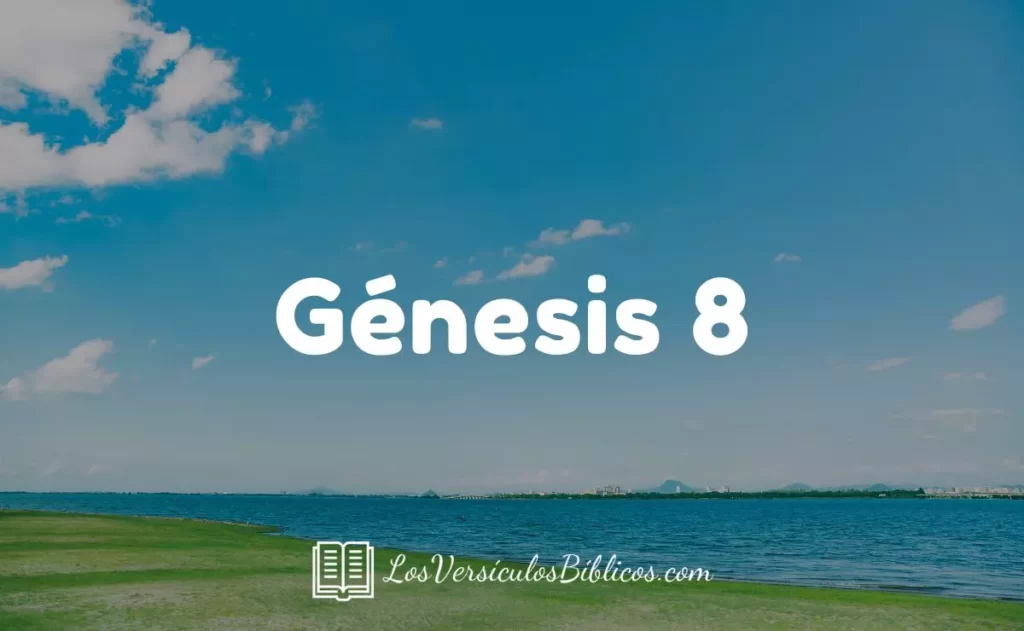 Génesis 8 Nueva Versión Internacional