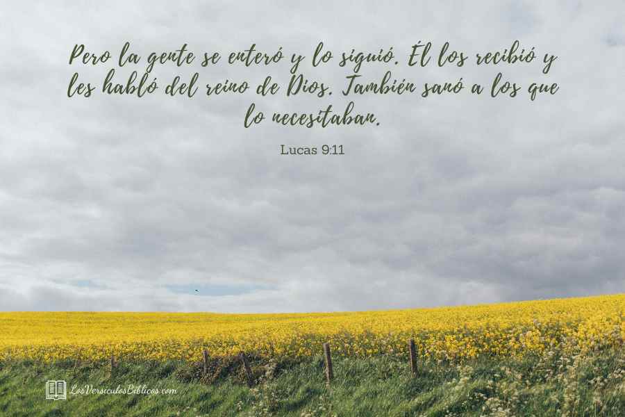 versiculos de sanidad, versiculos biblicos de sanidad, sanidad en la biblia, versiculos en la biblia de sanidad, sanidad, versiculos, versiculos biblicos, biblia,