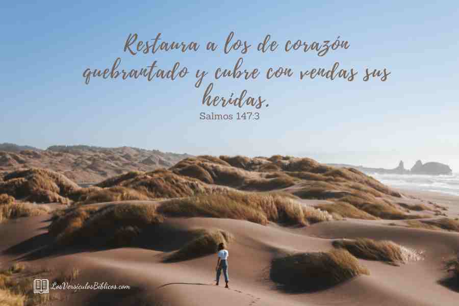 versiculos de sanidade, versiculos biblicos de sanidade, sanidade na biblia, versiculos na biblia de sanidade, sanidade, versiculos, versiculos biblicos, biblia,