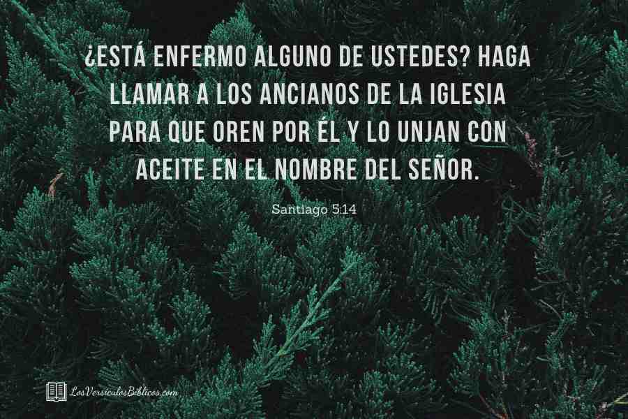 versiculos de sanidade, versiculos biblicos de sanidade, sanidade na biblia, versiculos na biblia de sanidade, sanidade, versiculos, versiculos biblicos, biblia,