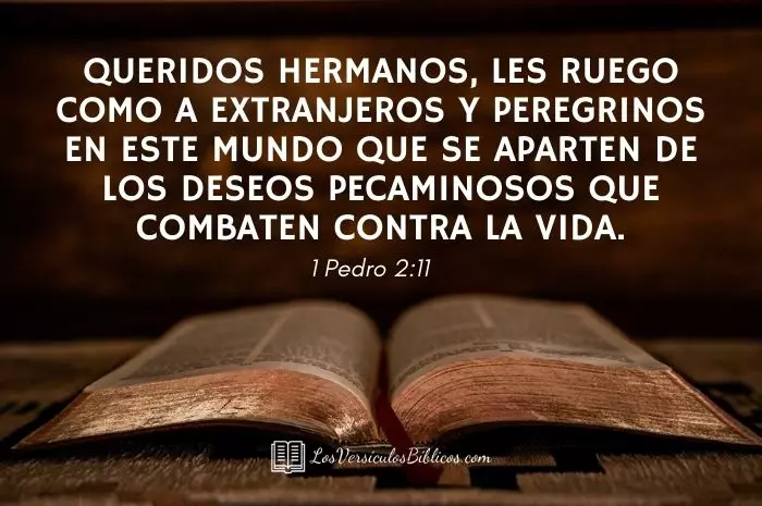 Versículos de la Biblia de Guerra Espiritual, versiculos de guerra espiritual, guerra espiritual en la biblia, textos biblicos de guerra espiritual, textos de la biblia de guerra espiritual, versos sobre guerra espiritual