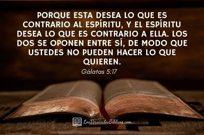 Versículos de la Biblia de Guerra Espiritual, versiculos de guerra espiritual, guerra espiritual en la biblia, textos biblicos de guerra espiritual, textos de la biblia de guerra espiritual, versos sobre guerra espiritual