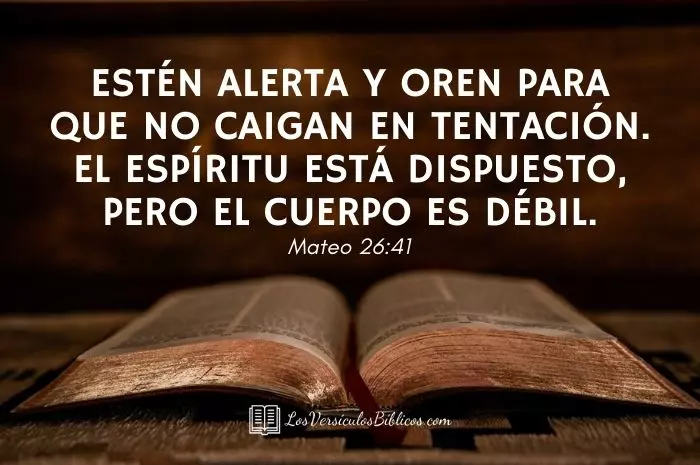 Versículos de la Biblia de Guerra Espiritual, versiculos de guerra espiritual, guerra espiritual en la biblia, textos biblicos de guerra espiritual, textos de la biblia de guerra espiritual, versos sobre guerra espiritual