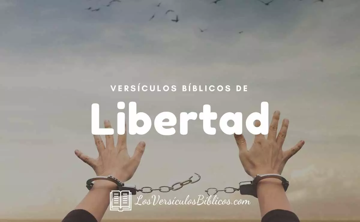 ▷▷ 30 Versículos de Libertad en la Biblia | Textos Bíblicos