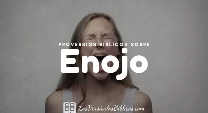 20 Proverbios Sobre el Enojo en la Biblia – Textos Bíblicos